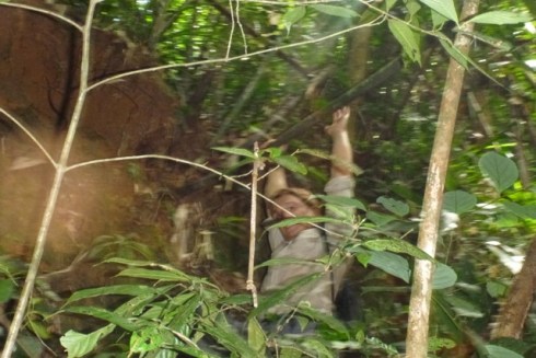 “Rimba has been such an experience of the frontline of conservation and the team have been literally overflowing with knowledge and energy. I’ve felt immensely privileged to be able to live and work in such a beautiful place”