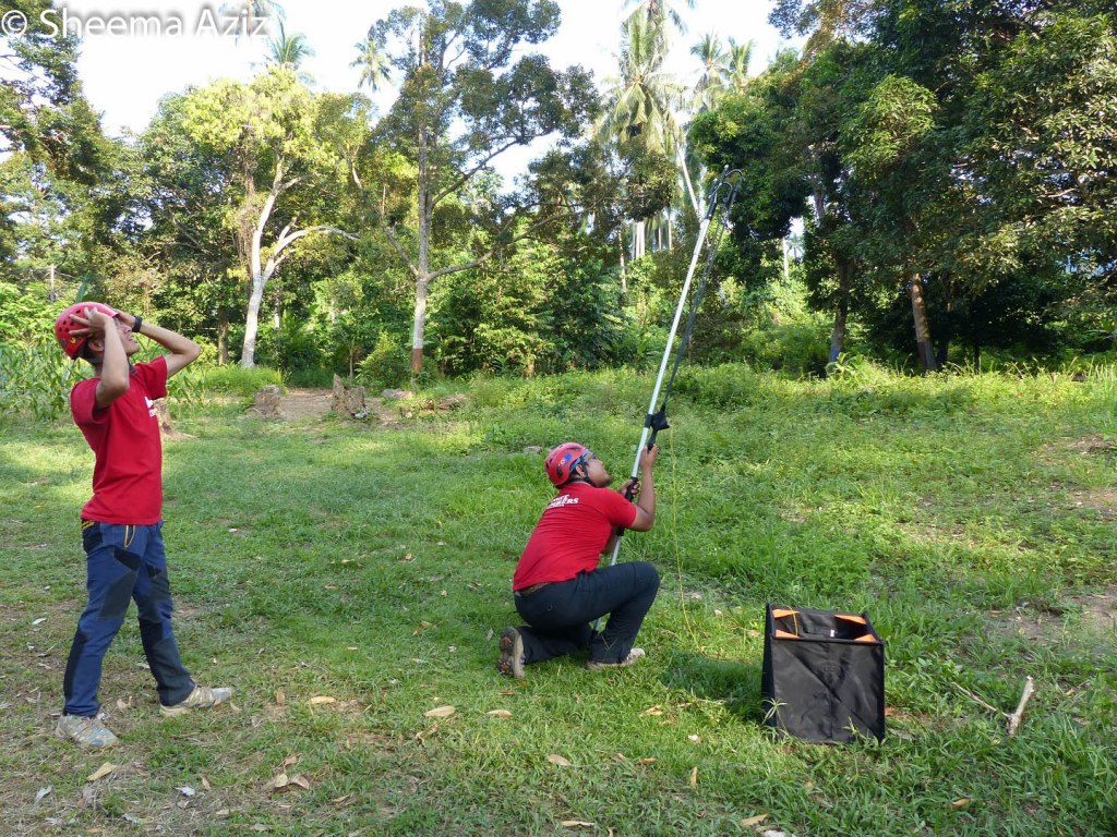 Using the Big Shot isn't easy! You have to target the right branch and get your aim and velocity just right in order to send the line where you want it to go. Sometimes it takes a few tries before you get the right branch...