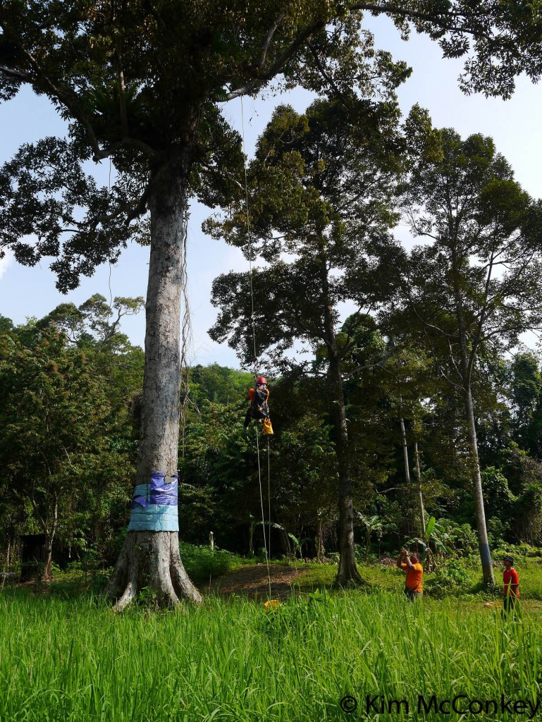 ...it really is a long way up!