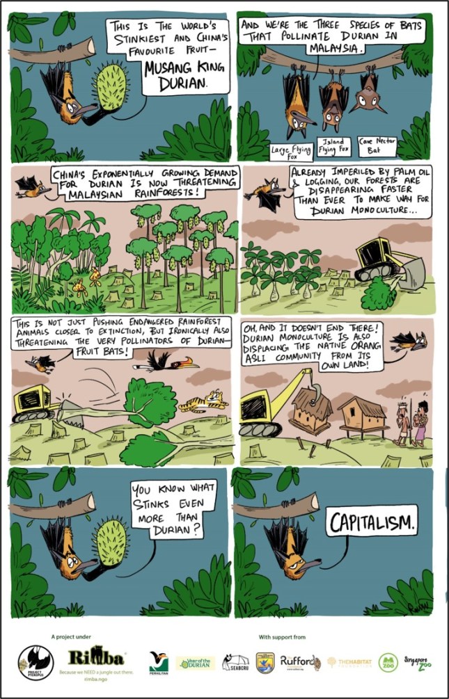 durian and flying fox comic_web