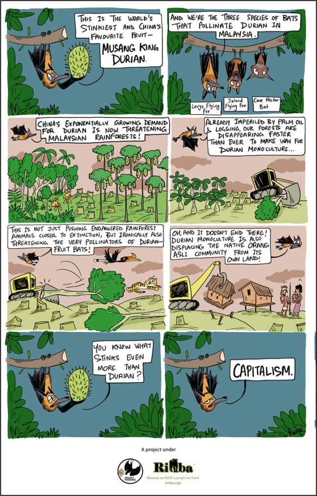 durian and flying fox comic_web_outlined