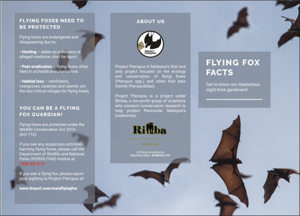Flying Fox Facts Brochure_web_outlined