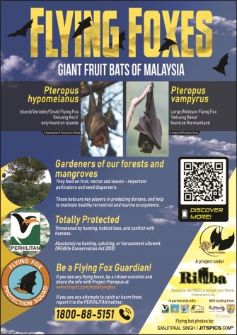 Flying Foxes of Msia poster_2019_web