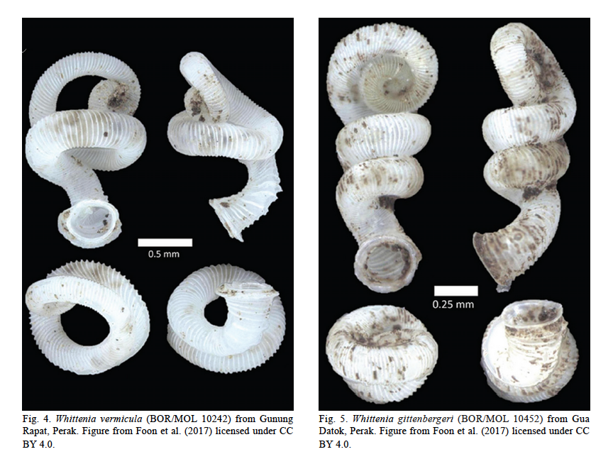 Screenshot 2020-04-01 at 2.27.06 PM.png