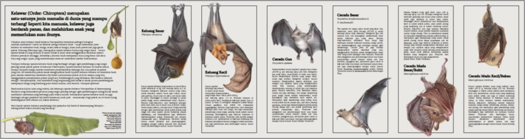 Kelawar Pendebunga Semenanjung Malaysia