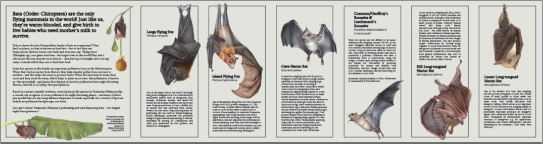 Pollinating Bats Brochure_2021_Eng