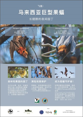 FF Poster_Malaysia_2021_CHI